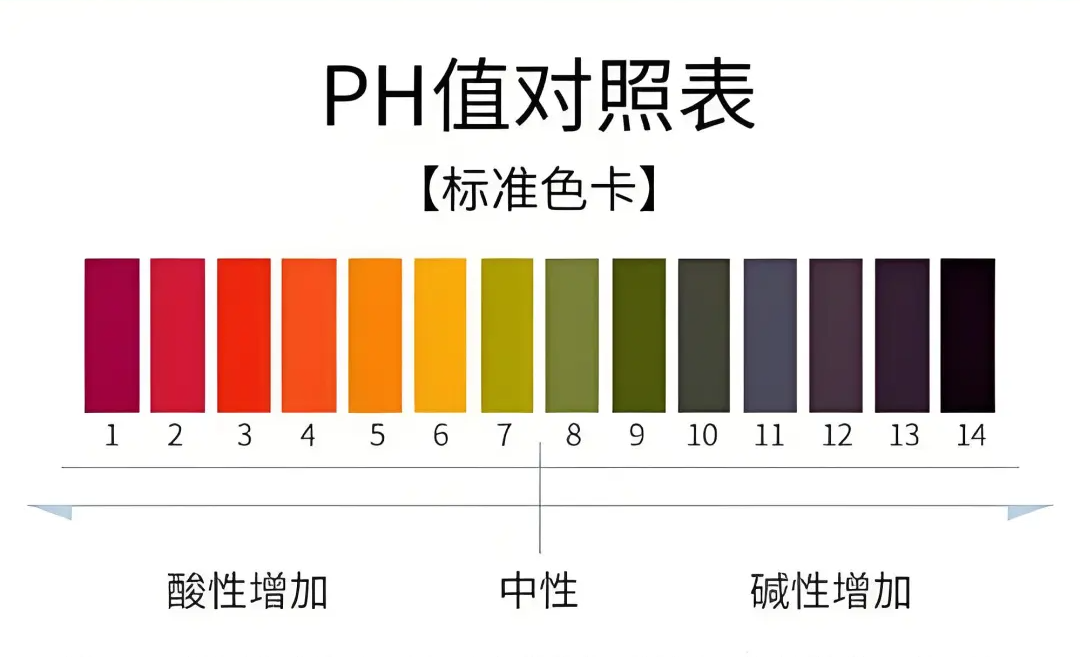 梅雨终结者：莫派石灰基涂料的3重防霉革命(图13)