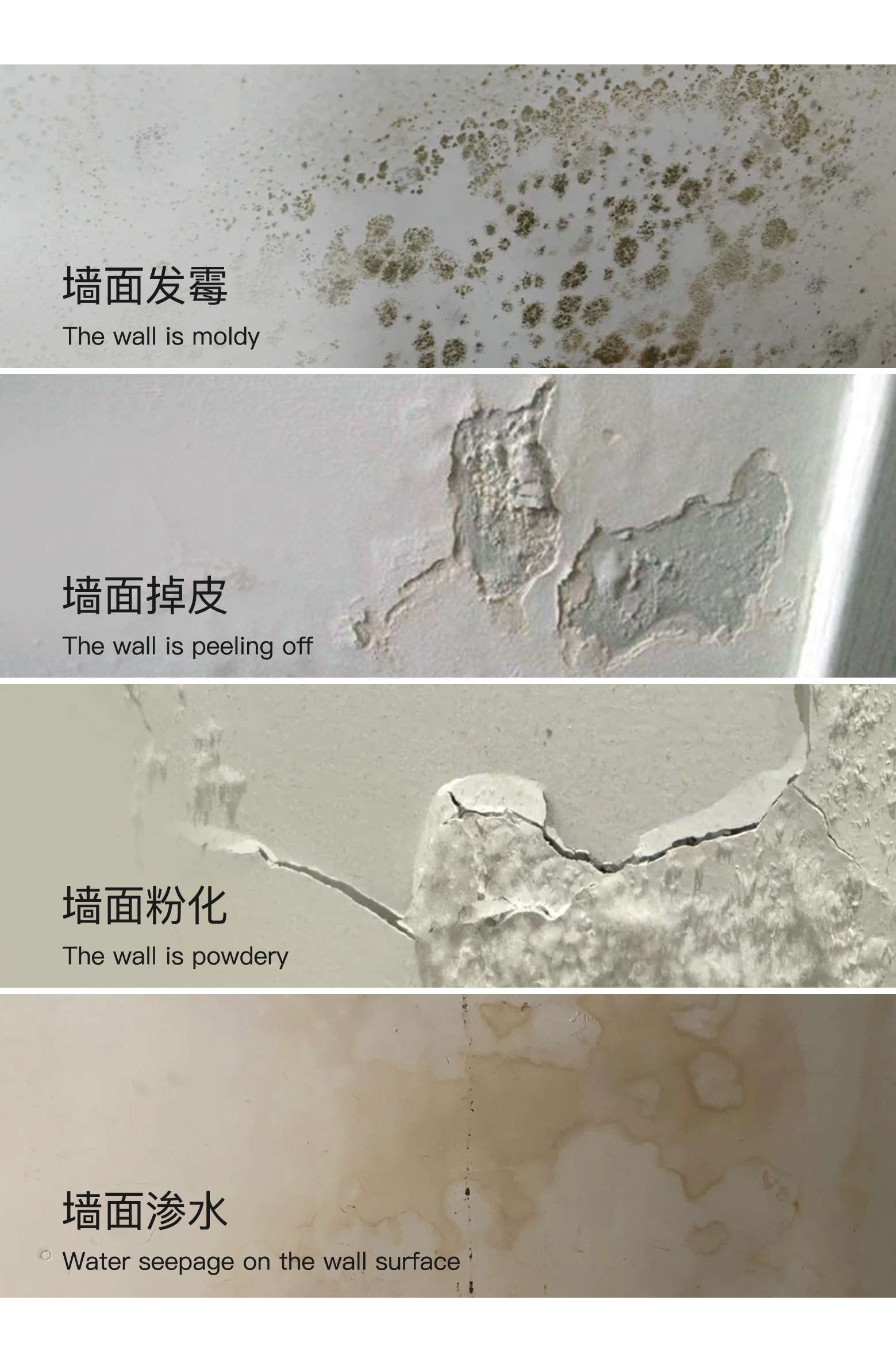 梅雨终结者：莫派石灰基涂料的3重防霉革命(图7)